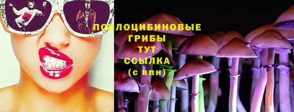 крисы Беломорск