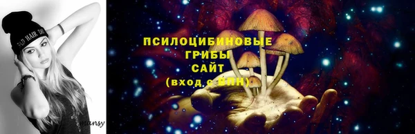 крисы Беломорск