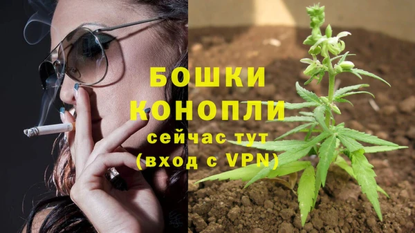 крисы Беломорск