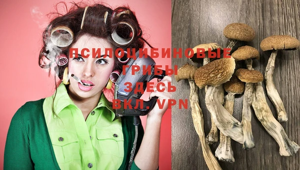 jwh Белокуриха