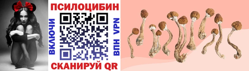 Псилоцибиновые грибы мицелий  где купить наркотик  Северск 